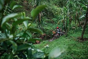 BIB: 
                            <button type="button" onclick="openModal(26200138)" class="btn btn-primary btn-sm float-right btn-popup" data-toggle="modal" data-target=".modal-high-quality">
                        <i class="fas fa-shopping-cart"></i> Add to Cart
                    </button>
                                            <button type="button" onclick="isThisMe(26200138, true)" class="btn btn-success btn-sm float-right btn-popup btn-isme hidden" data-toggle="tooltip" data-placement="bottom" title="นี่คือรูปของคุณใช่ไหม คลิกที่นี่เพื่อเอาเข้าอัลบั้ม">
                        <i class="fas fa-plus"></i> Add to album
                    </button>
                    <button type="button" onclick="isThisMe(26200138, false)" class="btn btn-warning btn-sm float-right btn-popup btn-isnotme hidden">
                        <i class="fas fa-ban"></i> Remove from album
                    </button>